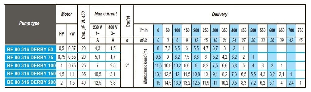 Entwässerungs-Tauchmotorpumpe BE 80 316 DERBY 75, 220V