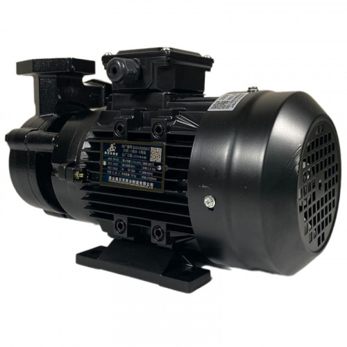 Vortex oil pump WM-20, 380V -30°C+200°C