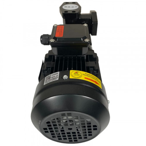 Vortex oil pump WM-20, 380V -30°C+200°C