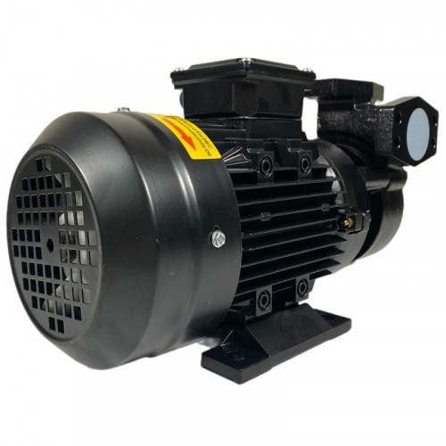 Vortex oil pump WM-20, 380V -30°C+200°C