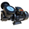 Vortex oil pump WM-30, 380V -30°C+200°C