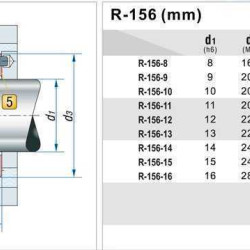 Uszczelnienie mechaniczne do pomp R-156 15, CAR/CER, NBR, 304