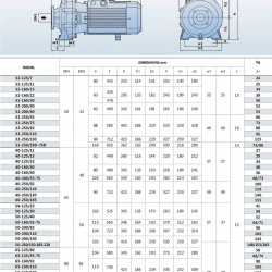 Bomba centrífuga monobloque BST 65-125/7.5, 3000