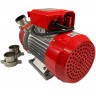 NOVAX 50M Pumpe für Bier, Maische, Würze