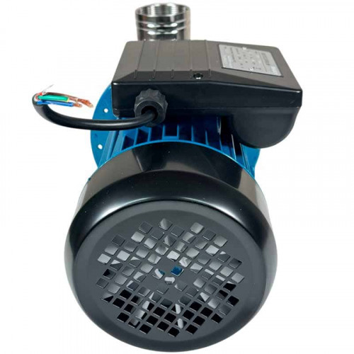 Насос для пивного сусла с дробиной TS150, 1,1 кВт, AISI 304, 220В/50Гц, 2900 об/мин с открытым рабочим колесом