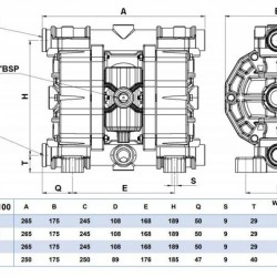 Druckluft-Membranpumpe PHOENIX 100-PP 3/4, P100-PHTTPTT