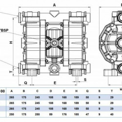 Druckluft-Membranpumpe PHOENIX 100-AISI 3/4, P100-SHTSSV1