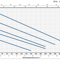 Pedrollo RXm 2 drainage pump