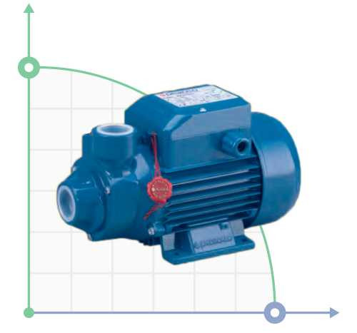 Насос вихровий Pedrollo PKm 300