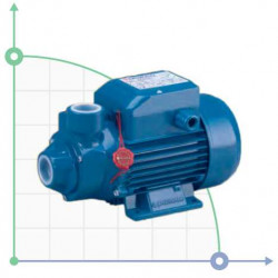Насос вихровий Pedrollo PKm 300