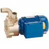 Pompe vortex pour vidange de cales LIVERANI EP 20, 29 l/min, TF/I 0,26 kW, 2800 rpm, 380 V, bronze