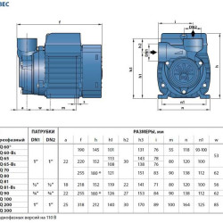 Насос вихровий Pedrollo PQm 300