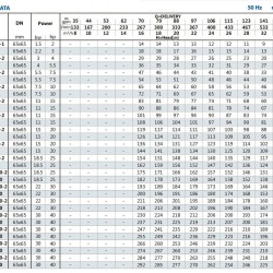 Speisepumpe für Dampfkessel BVS 32-50-2, 11 kW, AISI 304