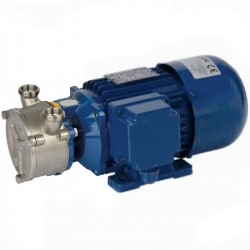 Liquid ring pump for vinegar LIVERANI EP NEOS 3/4 T MP, 36 l/min, CC/12V, 0.35 kW, 2800 rpm, AISI 316, Seal Cer.-Grafite-Epdm