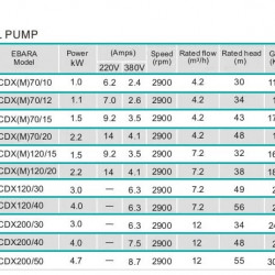 Meat injection pump 2CDC70/150, 2.2 kW, AISI 304, 220V/50Hz, 2900 rpm (type EBARA 2CDXM 70/20)