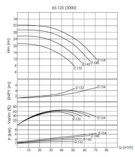 BTKF-I 65-125, 5,5 kW inline Pumpe (3000)