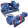 Internal gear pump for molasses, chocolate EMSE EDP-I 1 inch, 1.75-3.2 m3/h, without motor