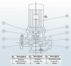 IHG BGLH 50-160(I)B (21.6/24), 3kW, 2880 - bomba vertical de acero inoxidable