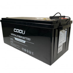 Batería para alimentación de reserva CL-12,8V 300Ah, LiFePO4, LFP ABS Carcasa de pie con Bluetooth y pantalla