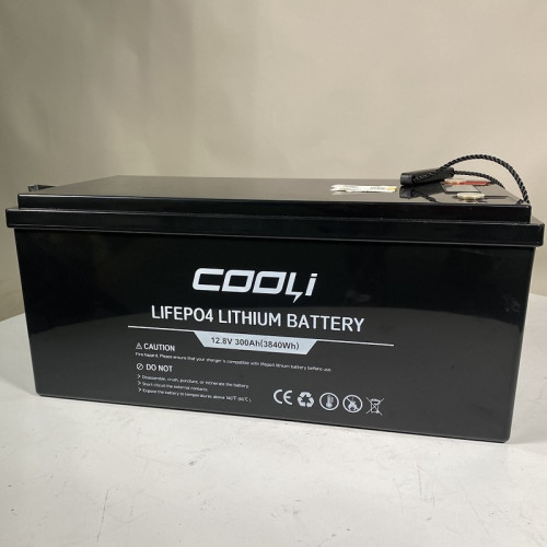 Batterie pour alimentation de secours CL-12.8V 300Ah, LiFePO4, LFP ABS Coque sur pied avec Bluetooth et écran