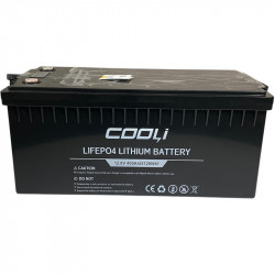 Аккумуляторная батарея CL-12,8V 400Ah, LiFePO4, LFP ABS Shell напольный с Bluetooth и дисплеем