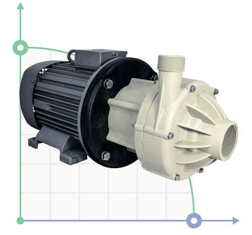 Pumpe mit Magnetkupplung  DM 30 PP mit Elektromotor  2,2 kW