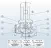 IRG BGL 100-315A (95/113), 55kW, 2880 centrifugal vertical pump