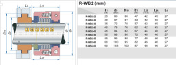 Fuelle de PTFE con cierre mecánico R-WB2T 65, SIC/SIC, PTFE, 304