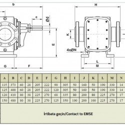 Шестеренчатый насос для перекачки шоколадной массы EMSE EDP 1006 AISI 304, 1 1/2" 6 м3/ч, без двигателя