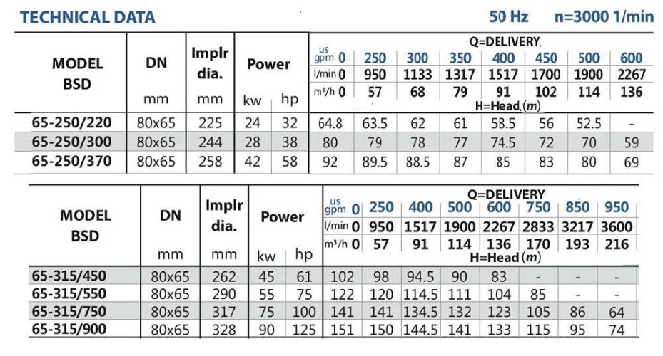 BSD 65-250/220 diesel pumping station