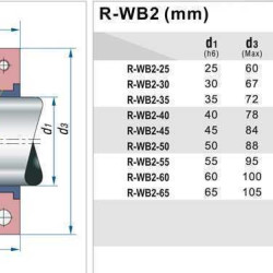 Торцевое уплотнение PTFE сильфонное R-WB2R 25, SIC/SIC, PTFE, 304