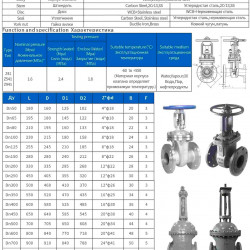 Vanne à bride à coin DN150 PN16 en acier inoxydable 30nzh41nzh, GOST