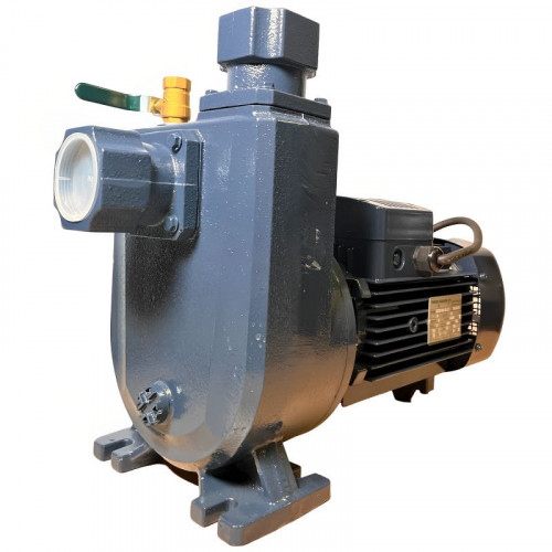 BXZ W25-35-3kW, 2900, 380V self-priming sewage pump