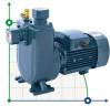 BXZ W25-35-3kW, 2900, 380V self-priming sewage pump
