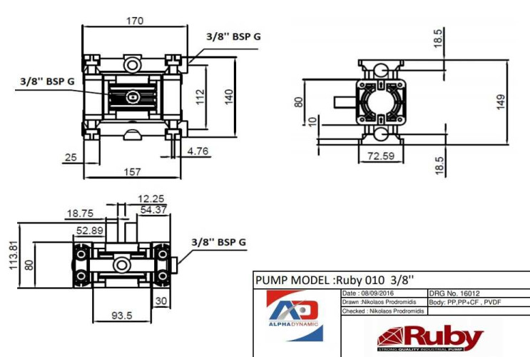 RUBY 010P-P-NTPT-F pneumatic diaphragm pump