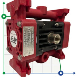 RUBY 010P-P-NTPT-F насос пневматический мембранный