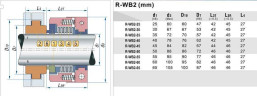 Mechanical seal PTFE bellows R-WB2R 40, SIC/SIC, PTFE, 304