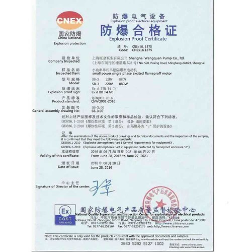 BTS-HD-EX2-V+SS304-1000mm Fasspumpe