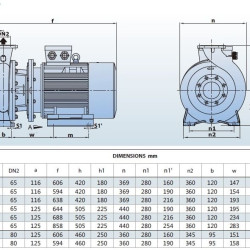 Насос моноблочний для неагресивних рідин BST4 65-315/7,5, 1500
