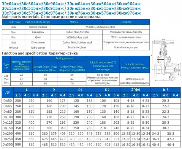 DN250 PN25 Keilventil mit einziehbarer Edelstahlspindel 30nzh64nzh DN250 PN25, GOST