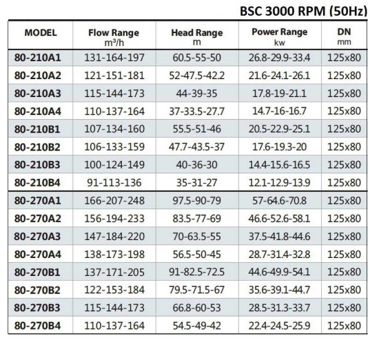 BSC 80 270A/B, (3000) pompa z podwójnym wejściem
