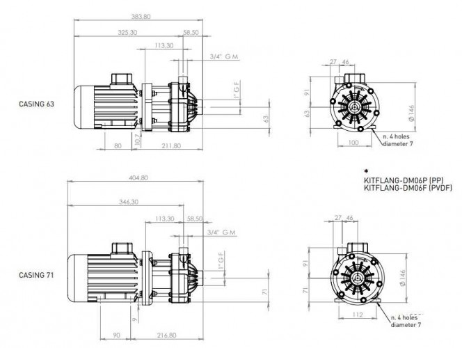 Насос с магнитной муфтой DM 06 PP, VITON, 0,25 кВт, FITTING NPT