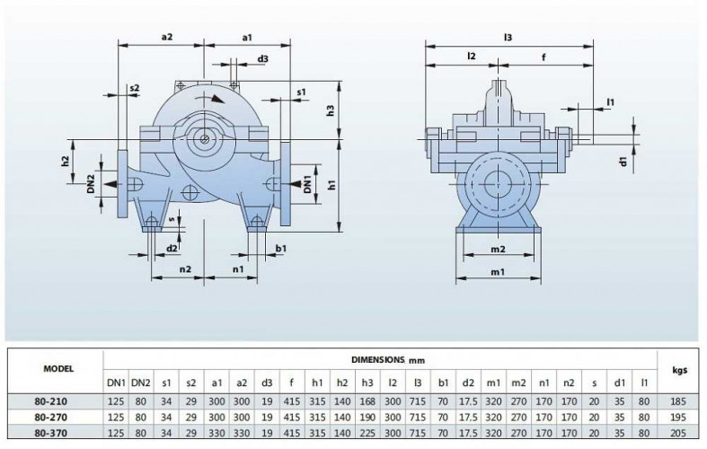 BSC 80-370A/B, (3000) Double Suction Split Case Pump