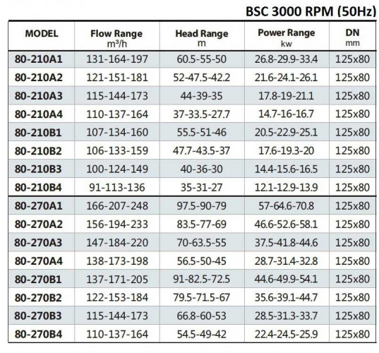 BSC 80-370A/B, (3000) Double Suction Split Case Pump