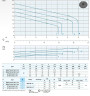 Bomba sumergible de drenaje Dreno G2 GT-EX 50/2/152 C.170 con sistema de corte