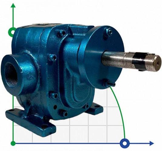 Zahnradpumpe für Öl EMSE EDP 1010, 1 1/2 Zoll 10 m3/h, ohne Motor