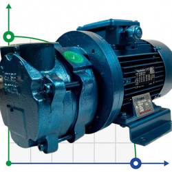 Bomba de vacío para secado ESV 115/30, 25 m3/h, 0,75 kW, 3000 rpm