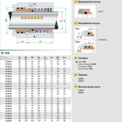 Shaft seal R-125 100, SIC/SIC, VITON, 316, T20LF