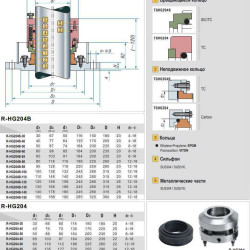 Wellendichtring R-HG204 65, SIC/CAR, VITON, 316