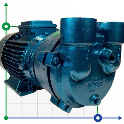 Bomba de vacío de anillo de agua ESV 150/50, 110 m3/h, 3 kW, 3000 rpm